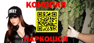 прущие грибы Канаш