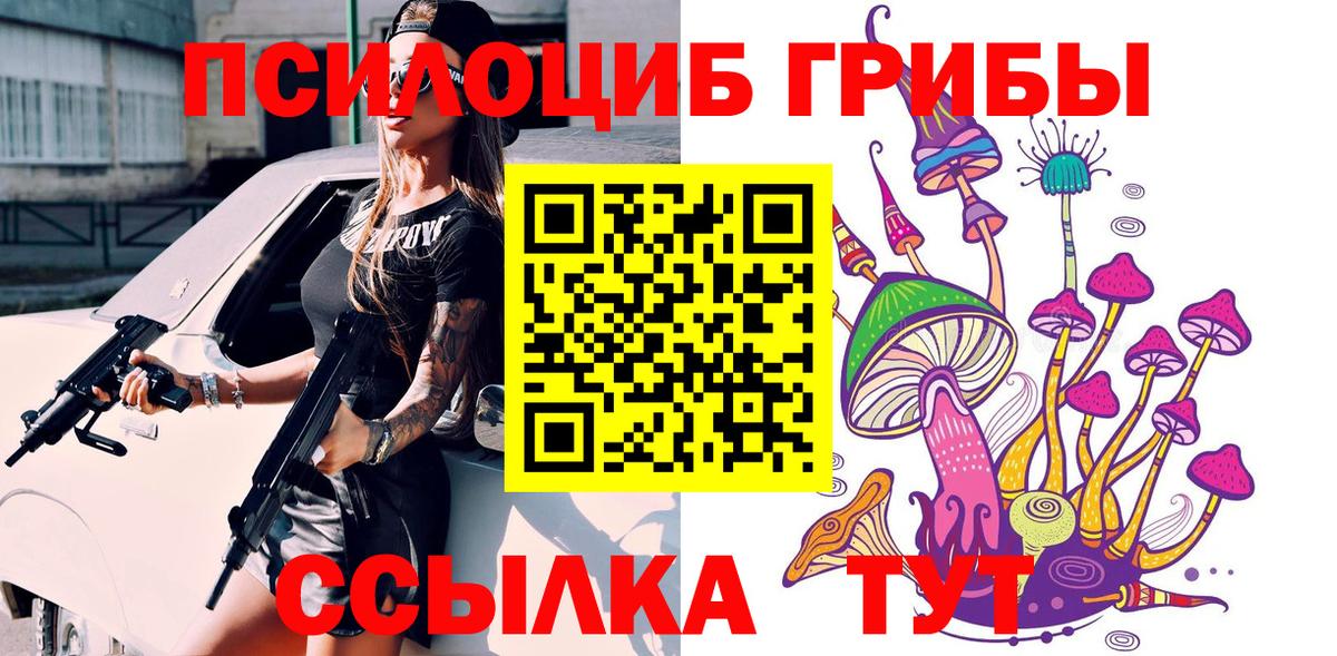 Кунгур  Галлюциногенные грибы MAGIC MUSHROOMS  Вход с VPN 